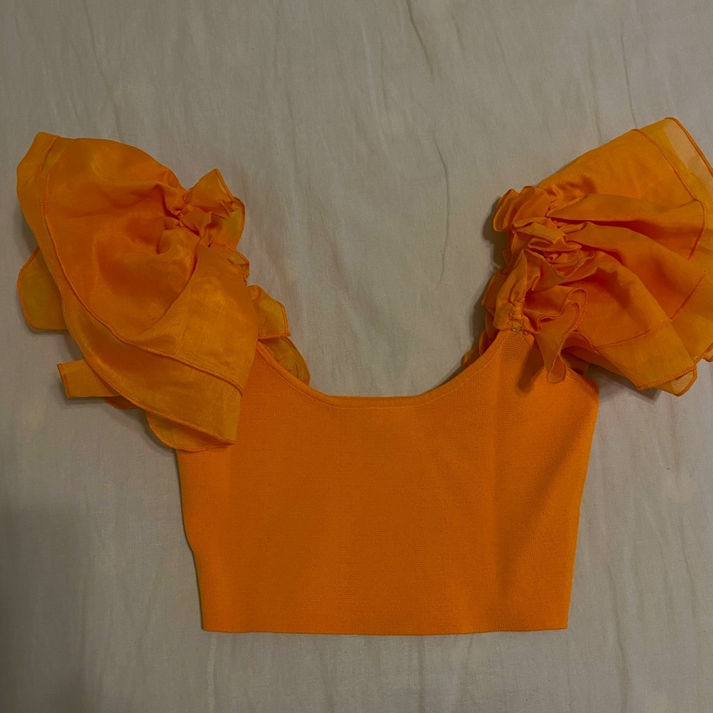 Zara cropped top with chiffon flowy sleeves